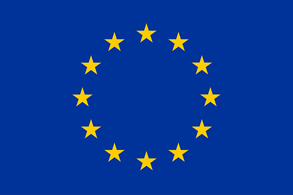 Unione Europea Flag